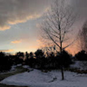 Meet your Posher, Lila